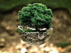 149 BONZAI A MAULEVRIER 2016_000036